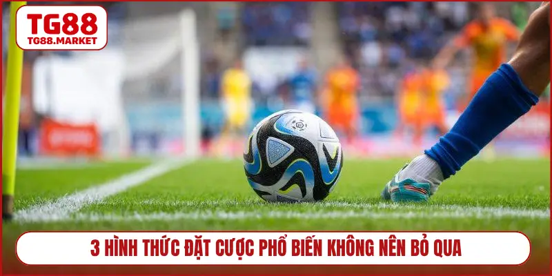 3 hình thức đặt cược phổ biến không nên bỏ qua