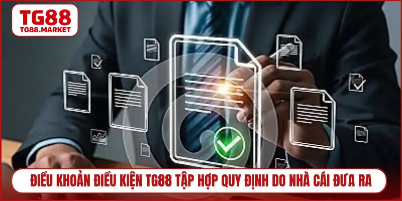 Điều khoản điều kiện TG88 tập hợp quy định do nhà cái đưa ra
