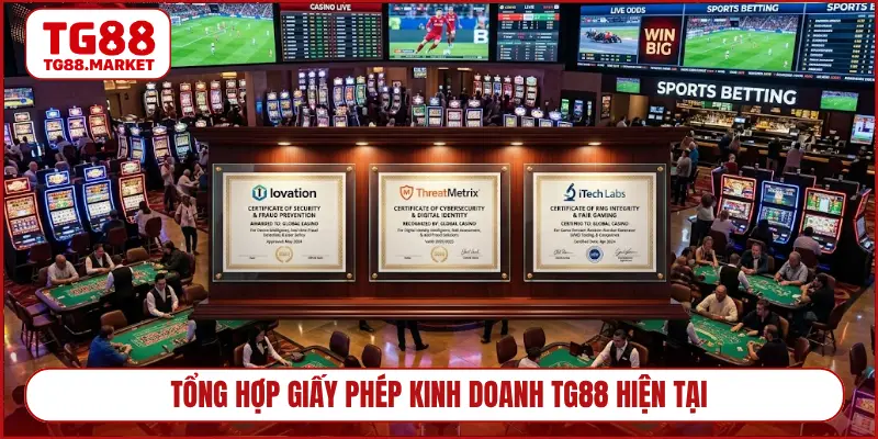 Tổng hợp giấy phép kinh doanh TG88 hiện tại
